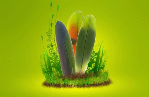 Google Green Parrot Pictures