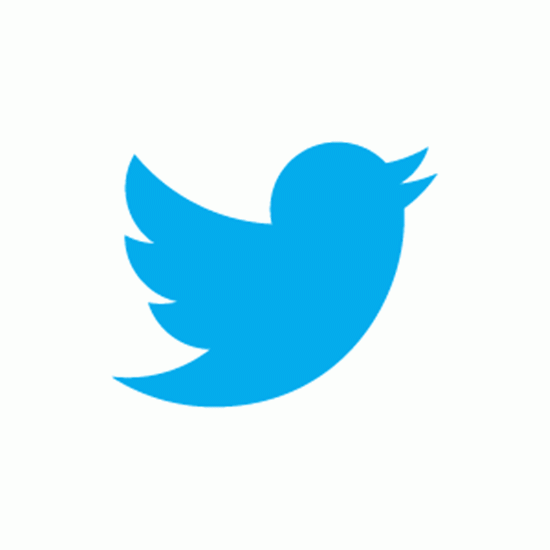 0042.twitter-bird-blue-on-white.png-550x0