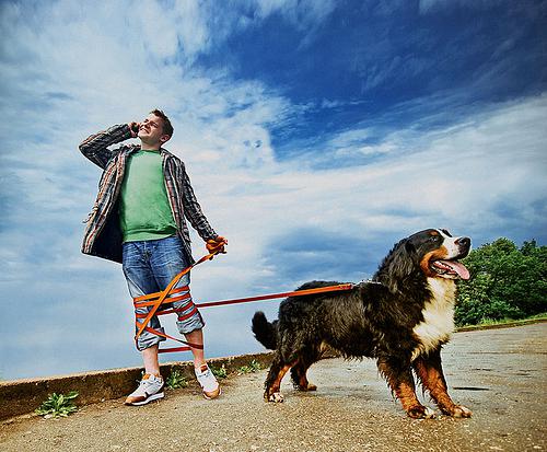 2940564303_13d6470401