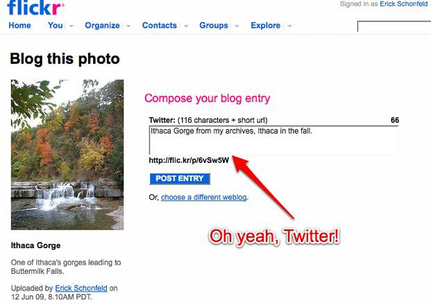 flickr-twitter2
