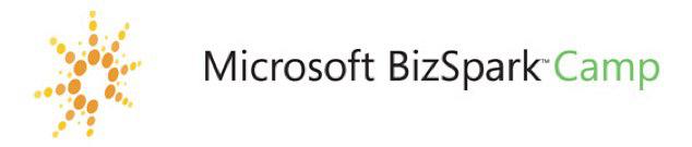 ms-bizspark