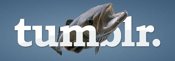 Tumblr
