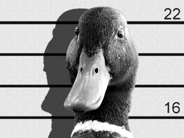 Τα Trolls Κατοικούν Μέσα Μας